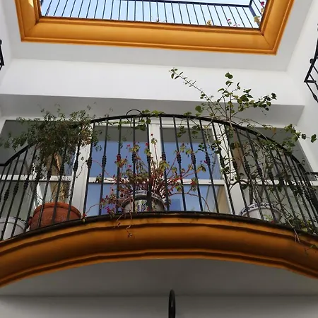 Guest house Ciudad