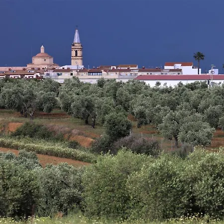 Ciudad Guest house Trigueros