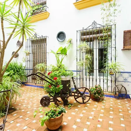 Ciudad
